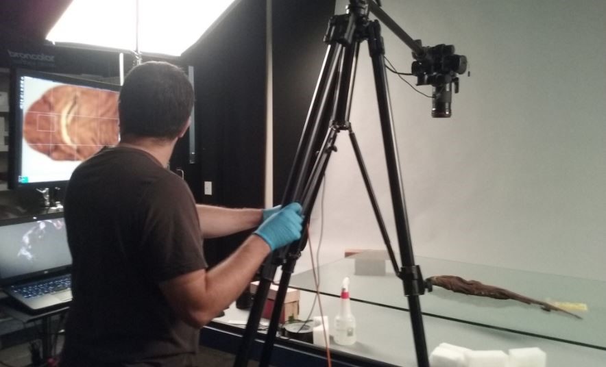 Photographing a catshark (Apristurus sp.) for the digital collections.