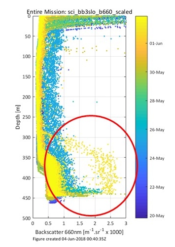 Figure 4. A plot of optical backscatter data collected by the glider, showing a plume extending from the seafloor at 450 m to 300 m (circled).