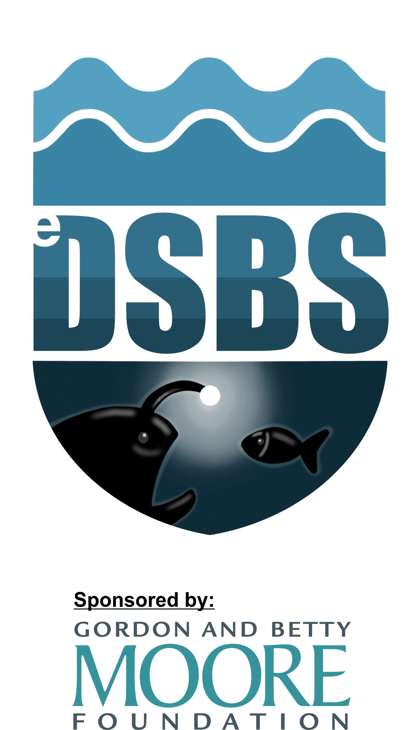 Abstracts – DSBS